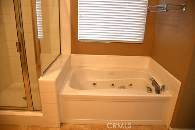 master bathroom tub