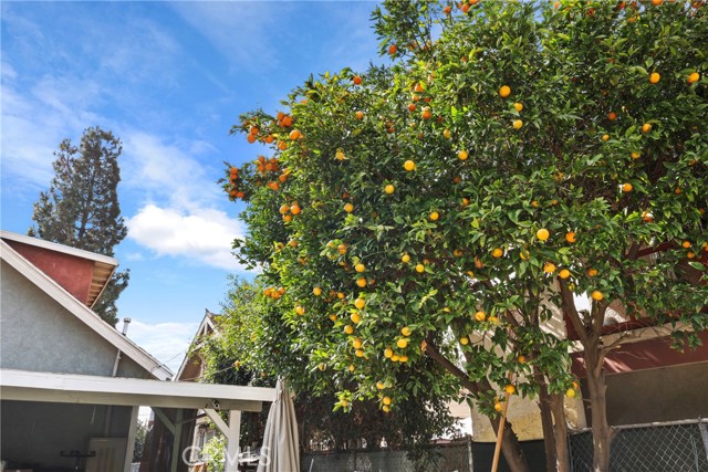 341 W 42nd St, Los Angeles CA: https://media.crmls.org/medias/3ef39d30-7722-45e5-b40d-2c797ed3e568.jpg