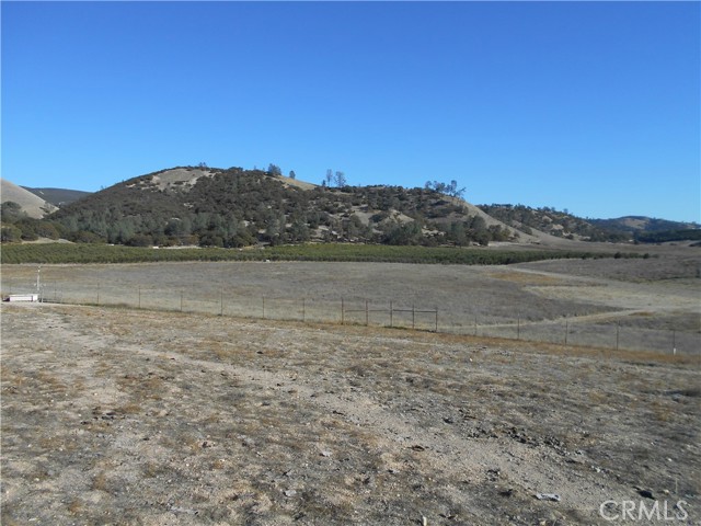 Detail Gallery Image 71 of 75 For 61969 Argyle Rd, King City,  CA 93930 - – Beds | – Baths