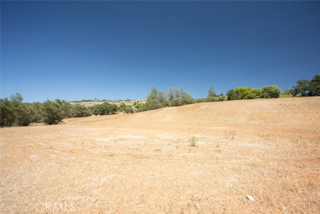 56 Canal Drive, Oroville, California 95966, ,Land,For Sale,56 Canal Drive,CROR23137441