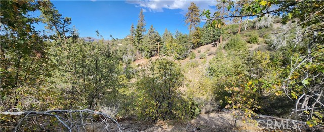 0 TRAILS END Road, Green Valley Lake, California 92341, ,Land,For Sale,0 TRAILS END Road,CRRW22222974