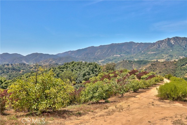 Home for Sale in Fallbrook