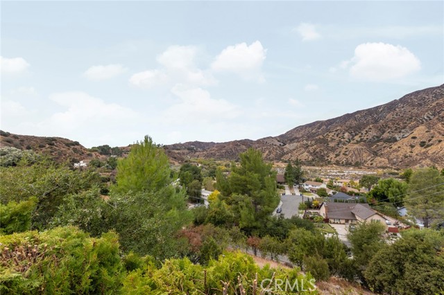 Detail Gallery Image 40 of 45 For 11419 Caern Ave, Tujunga,  CA 91042 - 3 Beds | 2 Baths