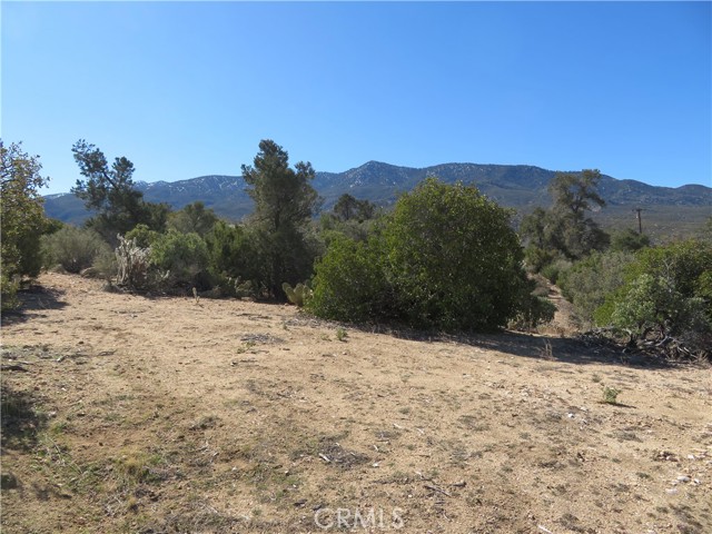 Detail Gallery Image 14 of 19 For 155 Lot #155 Buckthorn, Mountain Center,  CA 92561 - – Beds | – Baths