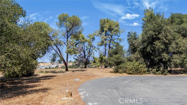 Front Image Thumbnail for CRIG26179942