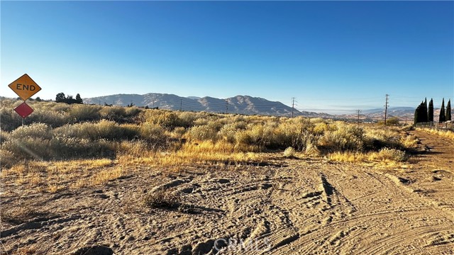 Front Image Thumbnail for CRCV25268744