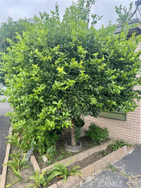 Detail Gallery Image 36 of 48 For 12700 Elliott Ave #406,  El Monte,  CA 91732 - 3 Beds | 2 Baths