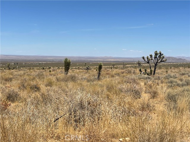  Land for Sale in Llano, California