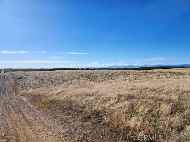 Detail Gallery Image 5 of 22 For 0 087-250-008-000, Corning,  CA 96021 - – Beds | – Baths