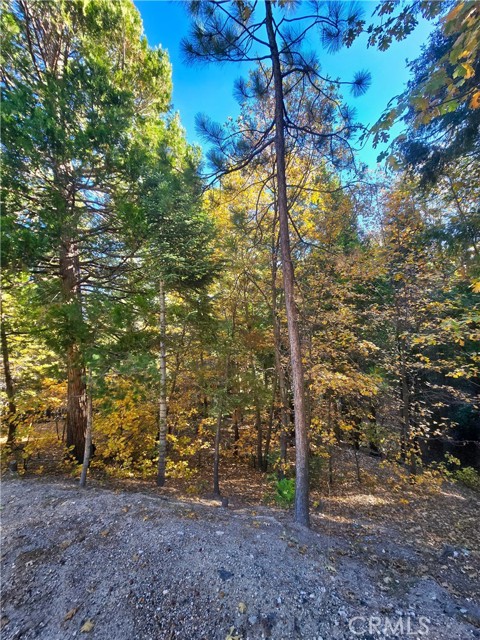 Detail Gallery Image 6 of 6 For 0 Brentwood Dr, Lake Arrowhead,  CA 92352 - – Beds | – Baths