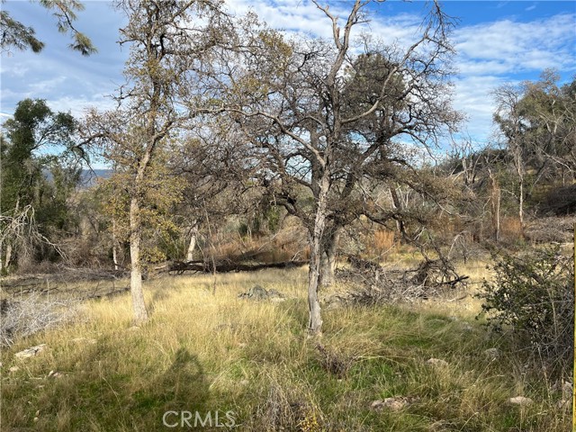 Detail Gallery Image 46 of 69 For 4934 Guadalupe Fire, Catheys Valley,  CA 95306 - – Beds | – Baths