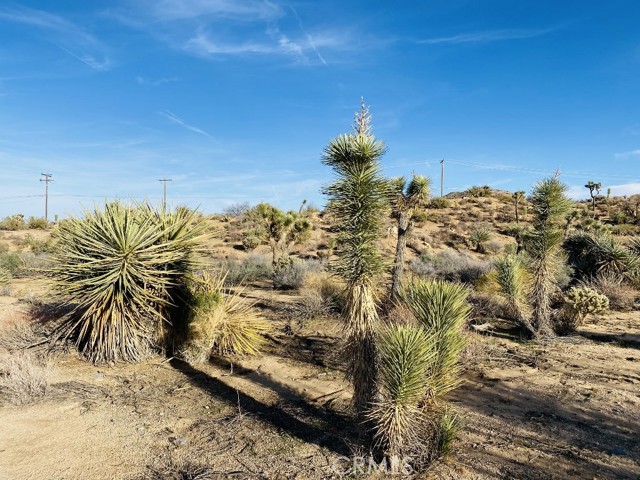 Image 2 for 8000 Redden Ln, Yucca Valley, CA 92284