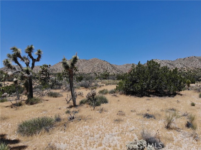 0 Yucca Trail, Yucca Valley, California 92284, ,Land,For Sale,0 Yucca Trail,CRJT23101215