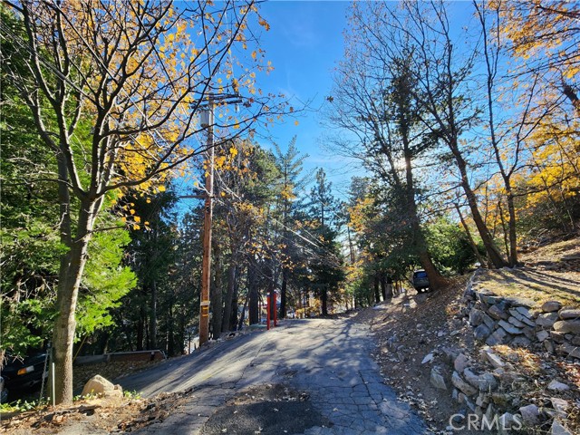 0 Lovers Lane, Rimforest CA: https://media.crmls.org/medias/3f2b27fd-c3a3-45d7-8335-8a2d81db4641.jpg