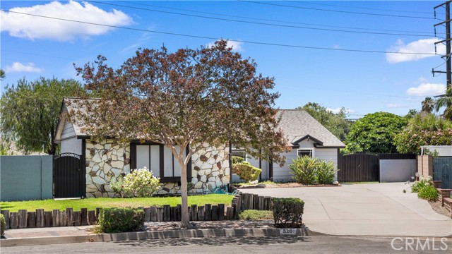 528 Essex photo 53