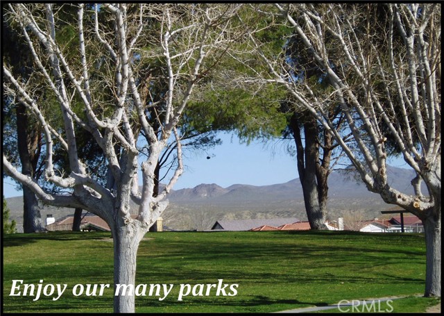  Land for Sale in Helendale, California