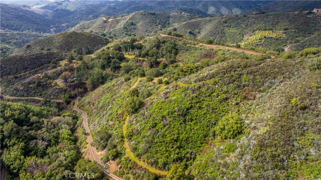 3395 Wallace Mountain Road