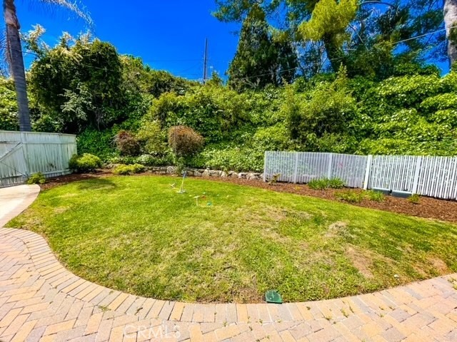 Lawn area in the backyard.