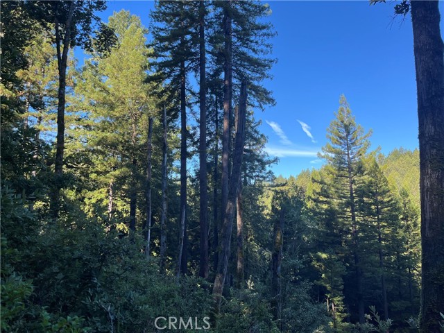 Detail Gallery Image 33 of 40 For 16125 Bittner Rd, Occidental,  CA 95465 - 4 Beds | 2 Baths