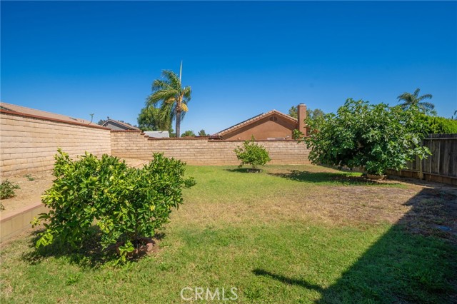 2341 N Palm Avenue, Rialto CA: https://media.crmls.org/medias/3f4a4923-1b34-4435-85f2-08fff5cee224.jpg