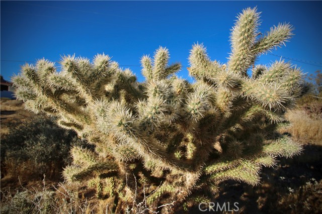 Detail Gallery Image 17 of 20 For 60255 Natoma Trl, Joshua Tree,  CA 92252 - – Beds | – Baths