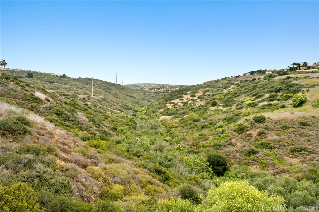 MLS #NP25135122 image #29