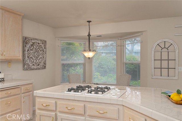 Detail Gallery Image 23 of 49 For 853 Coit Tower Way, Chico,  CA 95928 - 3 Beds | 2 Baths