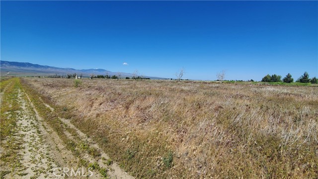 Detail Gallery Image 3 of 24 For 0 263rd St West North of Ave C13, –,  CA 93536 - – Beds | – Baths