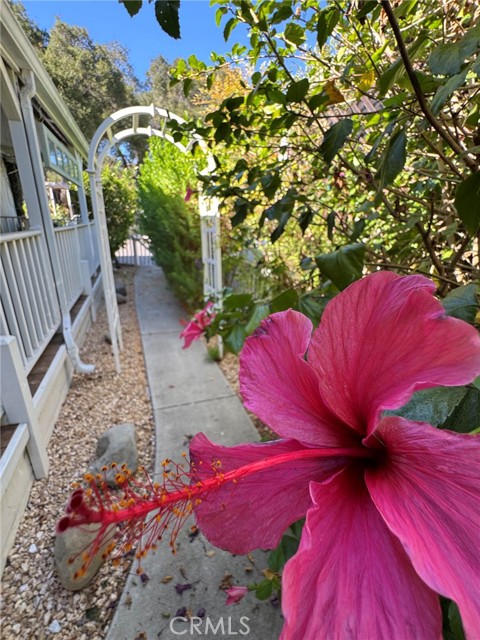 1273 South Rice, 11 photo 51