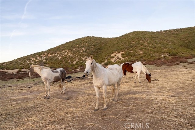 Image 6 of 69 For 535 Calf Canyon