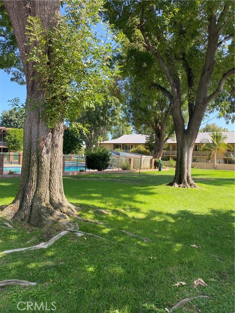 8105 Canby Avenue, 2 photo 7