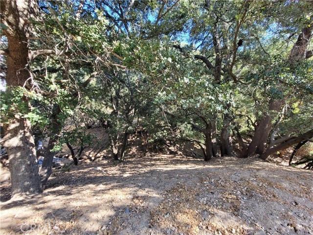 0 Berne Drive, Crestline, California 92325, ,Land,For Sale,0 Berne Drive,CRHD22154179