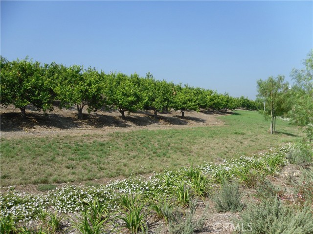 97 Ardmore, Irvine CA: https://media.crmls.org/medias/3f73eae0-8032-4fb5-ad97-c0ffa758f040.jpg