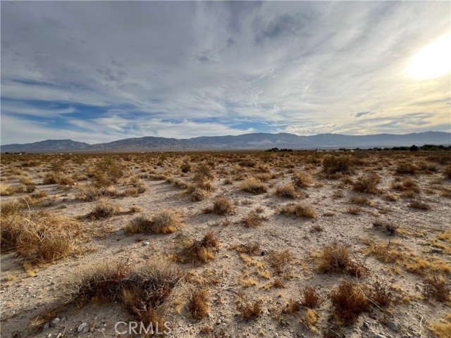 Detail Gallery Image 1 of 8 For 0 Old Woman Springs, Lucerne Valley,  CA 92356 - – Beds | – Baths