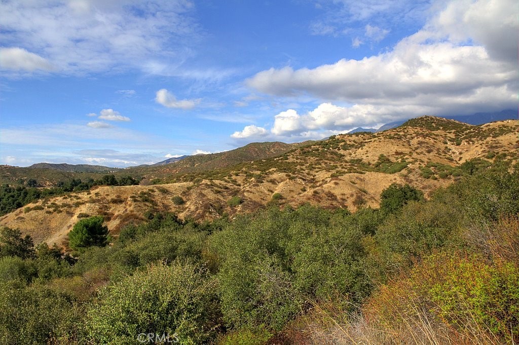 MLS #IG25034144 img 54