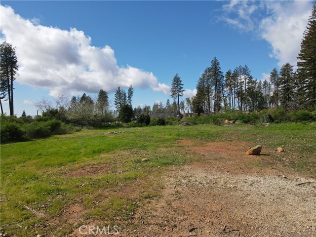 Image 7 of 20 For 6291 Harvey  