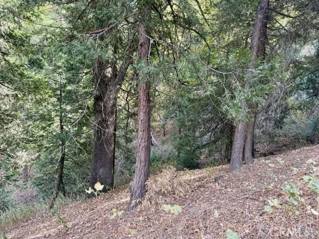 0 Burnt Mill Canyon Road, Cedarpines Park CA: https://media.crmls.org/medias/3f842f71-c45b-4c50-baec-86417e7264f0.jpg