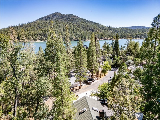 Detail Gallery Image 53 of 57 For 39451 E Idylwild, Bass Lake,  CA 93604 - 3 Beds | 2 Baths