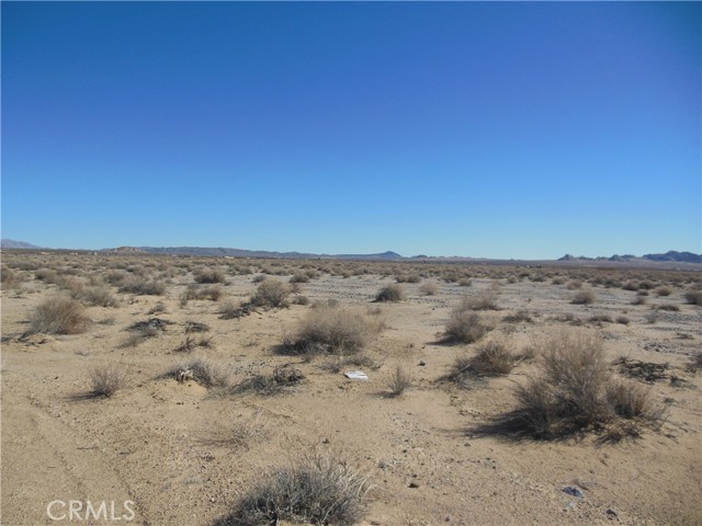 Detail Gallery Image 5 of 9 For 101 Smoke Bush, Lucerne Valley,  CA 92356 - – Beds | – Baths