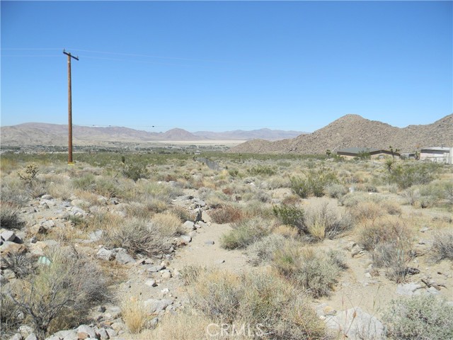 EDISON POLE ON PROP. LINE