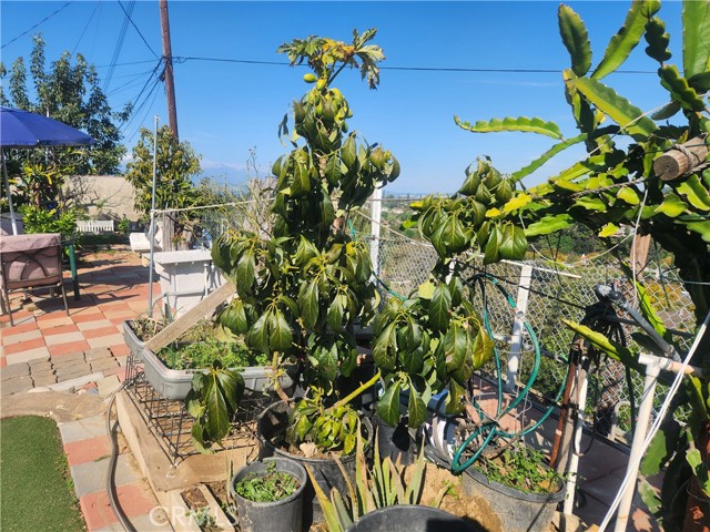 2868 Yojoa Place, Hacienda Heights CA: https://media.crmls.org/medias/3f9e6c60-9a4a-40a4-9f57-3791daf197b1.jpg
