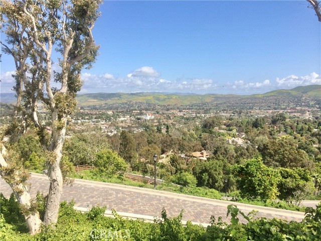 Image 62 of 74 For 31541 Peppertree Bend