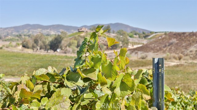 Detail Gallery Image 33 of 39 For 0 Valle Toscana Ct, Temecula,  CA 92592 - – Beds | – Baths