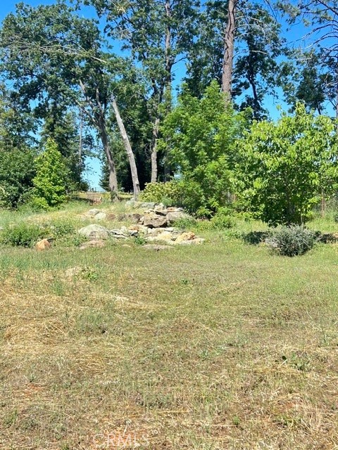 Front Image Thumbnail for CRPA26105516