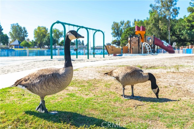 Detail Gallery Image 47 of 50 For 3318 W Borchard, Santa Ana,  CA 92704 - 4 Beds | 2 Baths