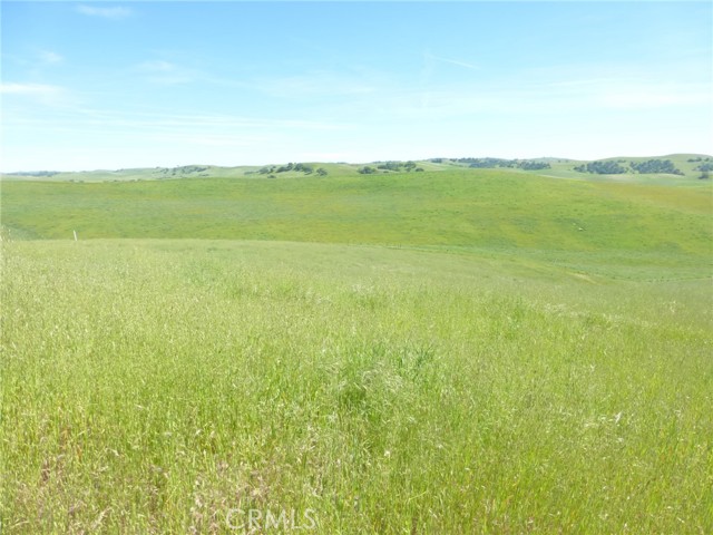 Detail Gallery Image 11 of 40 For 0 Douglas Rd. (Lot 43), San Miguel,  CA 93451 - – Beds | – Baths