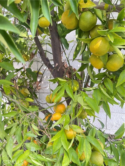 Detail Gallery Image 43 of 55 For 13849 San Antonio Ave, Chino,  CA 91710 - 4 Beds | 3 Baths