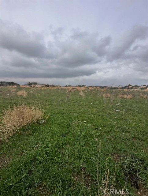 Front Image Thumbnail for CRDW25277663