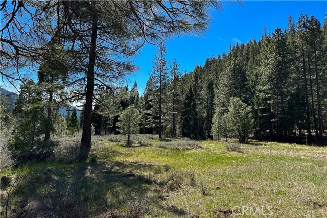 Detail Gallery Image 25 of 35 For 79402 State Highway 3, Trinity Center,  CA 96091 - – Beds | – Baths