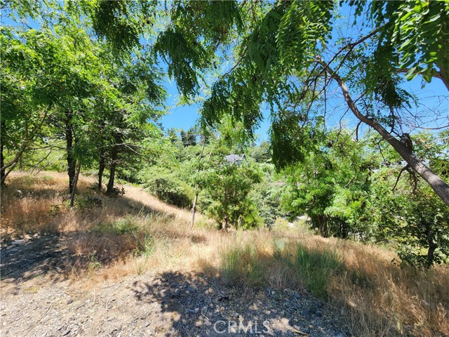 Detail Gallery Image 26 of 30 For 31912 Encina Way, Running Springs,  CA 92382 - – Beds | – Baths